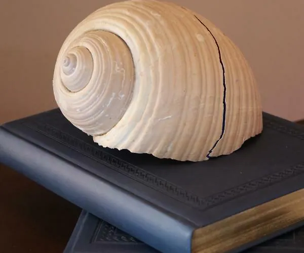 Grace Hotel&studios Hotel Sými